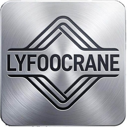 Professinal Lifting Solution Supplier